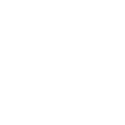 st-icon.png